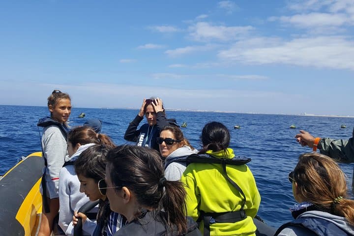Peniche Dolphin Route: Two-Hour Cetacean Cruise to Caves and Cliffs photo 2