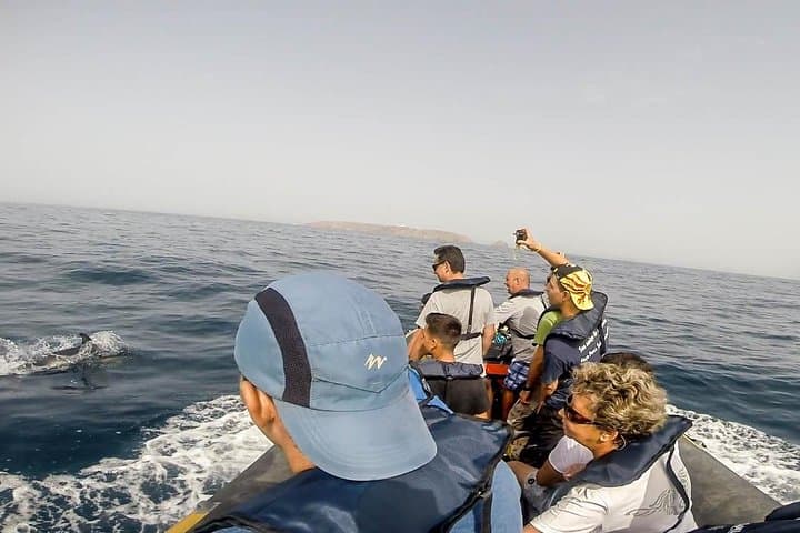 Peniche Dolphin Route: Two-Hour Cetacean Cruise to Caves and Cliffs photo 3