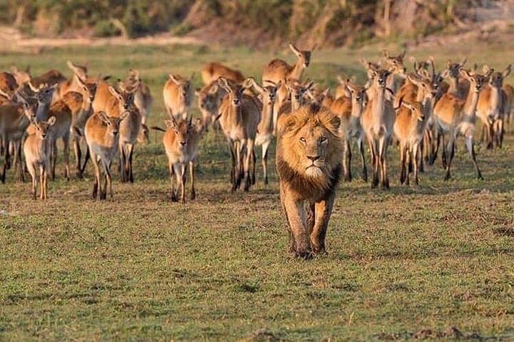 4-Day Group Safari: Tarangire, Serengeti & Ngorongoro from Arusha photo 2