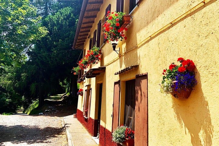Lake Como E‑Bike MTB Tour: Monte Boletto Views & Chalet Lunch photo 5