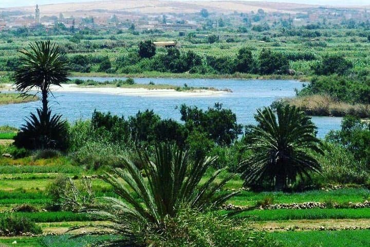 Agadir Close Sahara: Dune Bashing, Berber Villages & Massa Birdwatching photo 4