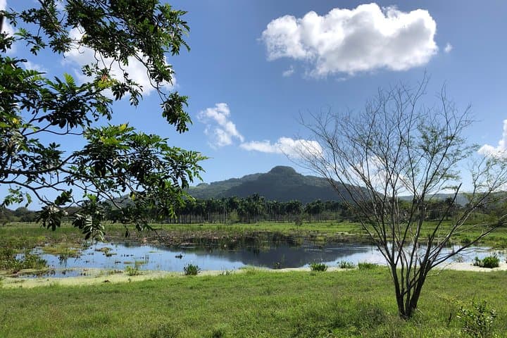 ATV Adventure in Puerto Plata: 300cc Quad Riverbed Tour & Pool Zip Line photo 6