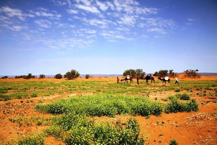 3-Day Private Erg Chegaga Desert Tour from Zagora — Camel Trek, Sandboarding & Camp photo 3
