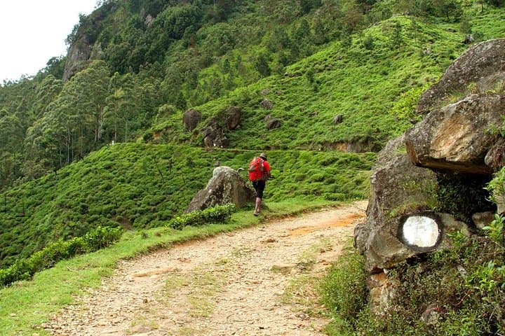 Horton Plains World’s End Hike and Scenic Hill-Country Train Ride photo 2