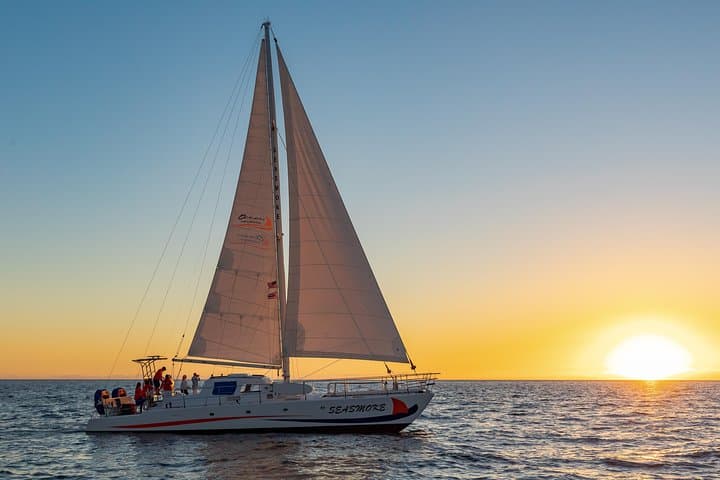 Sunset Whale Watching Cruise from Anaeho'omalu Bay: Experience Hawaii’s Humpbacks Up Close photo 4