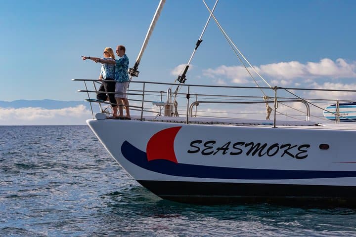 Sunset Whale Watching Cruise from Anaeho'omalu Bay: Experience Hawaii’s Humpbacks Up Close photo 6