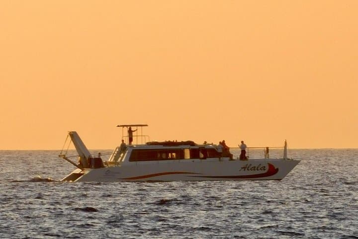 Sunset Whale-Watching Cruise from Kawaihae Harbor | Kohala Coast Catamaran
