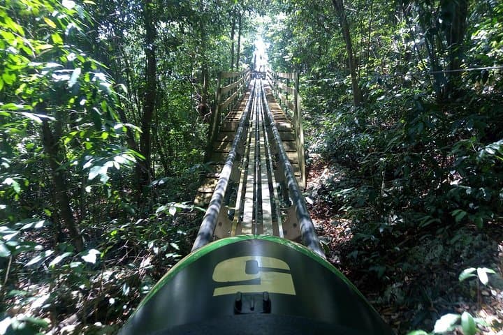 Ride the Jamaica Bobsled at Mystic Mountain — Ocho Rios Adventure Tour photo 4