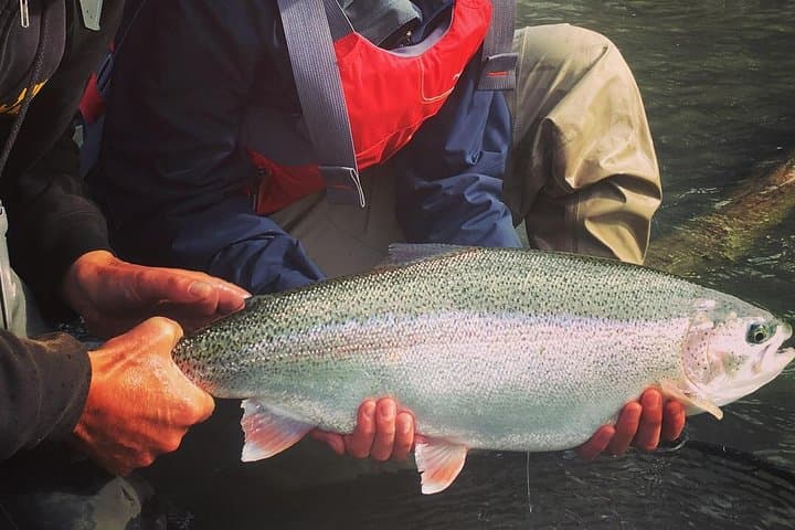 Full-Day Kenai River Drift-Boat Fishing — Soldotna Fly & Spin Trips