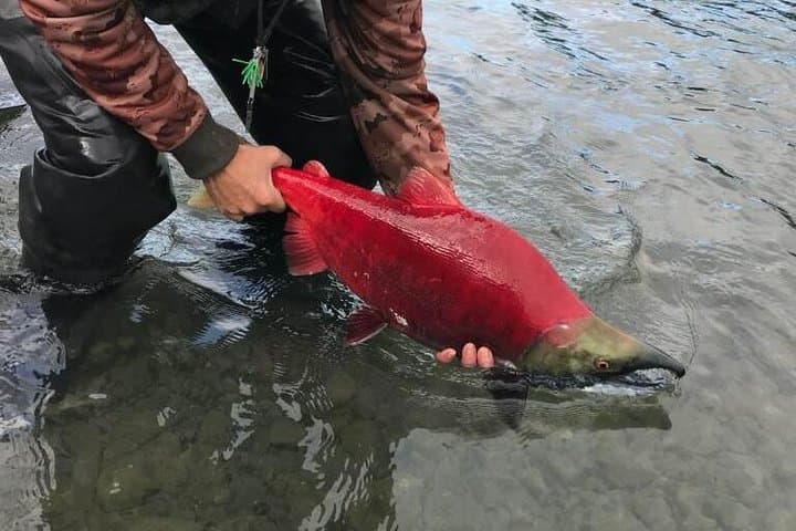 Full-Day Kenai River Drift-Boat Fishing — Soldotna Fly & Spin Trips photo 2