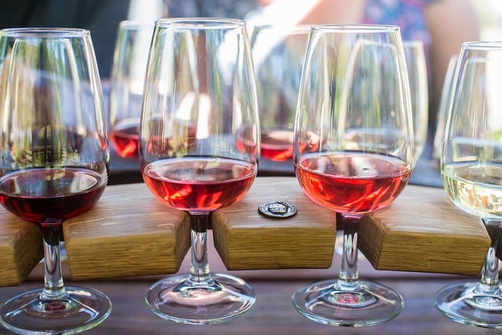 Central Otago Wine Tour from Wanaka — Tastings, Vineyard Visits & Gourmet Lunch photo 4
