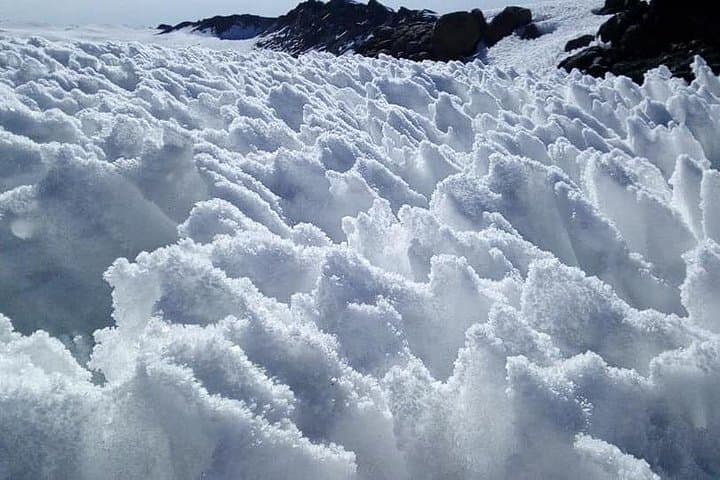 8-Day Lemosho Route Kilimanjaro Climb from Arusha — Guided Summit to Uhuru Peak photo 3
