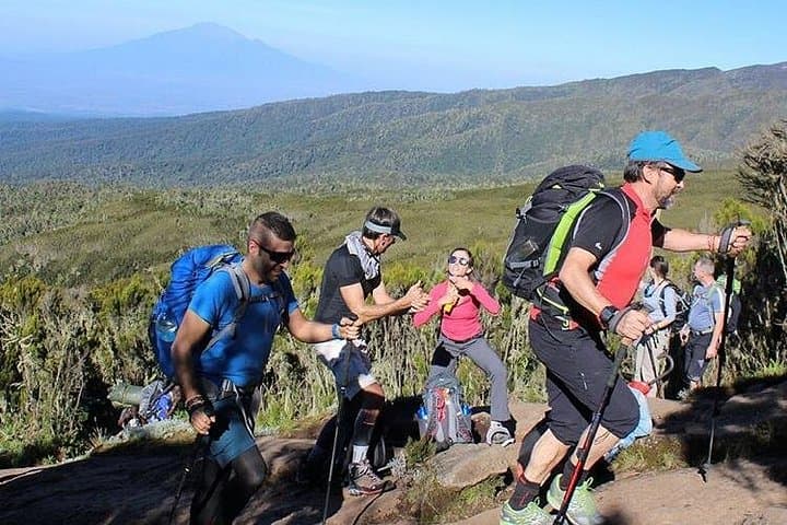8-Day Lemosho Route Kilimanjaro Climb from Arusha — Guided Summit to Uhuru Peak photo 4