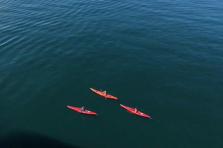 Coastal Kayak Tour from Hoonah — Calm Waters & Wildlife in Icy Strait photo 2