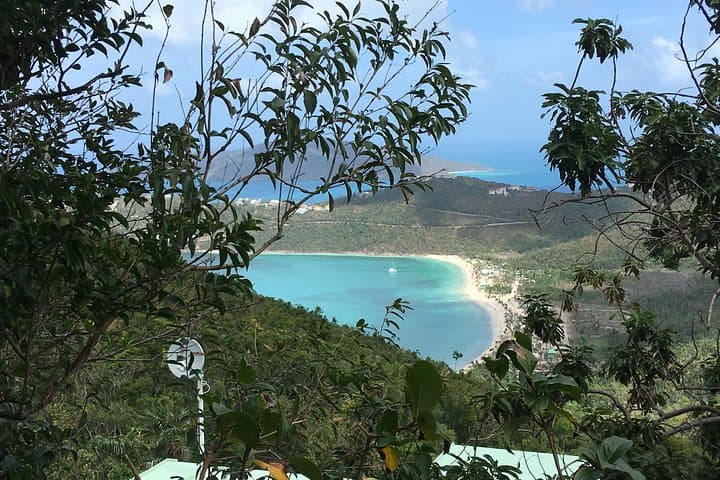 St. Thomas Sightseeing and Swimming Excursion — Mountain Lookouts and Caribbean Swim Stops photo 2