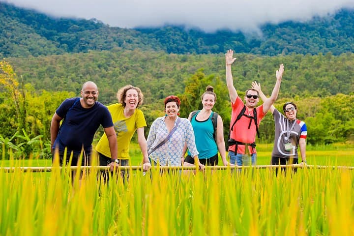 Chiang Mai Countryside E-Bike Tour: Lamphun, Rice Paddies & Wat Phra That Hariphunchai photo 1