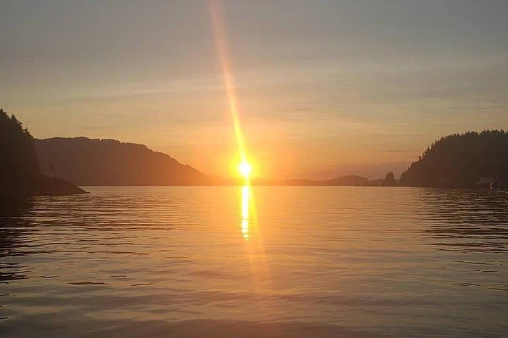 Coastal Kayak Tour from Hoonah — Calm Waters & Wildlife in Icy Strait photo 3