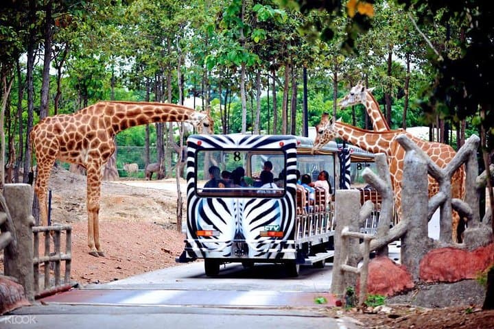 Chiang Mai Night Safari: Evening Tram Safari, Animal Shows & Round-Trip Transfer photo 1
