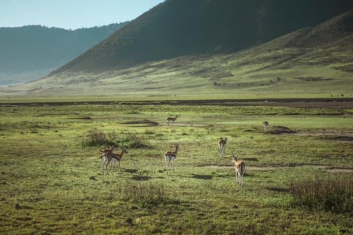 6-Day Cultural Safari: Hadzabe, Serengeti & Ngorongoro Crater Adventure photo 6