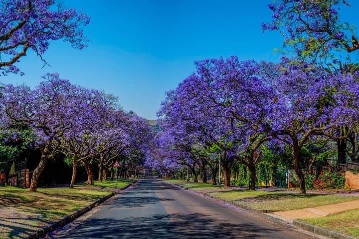 Pretoria City & Cullinan Diamond Mine Tour — Union Buildings, Voortrekker Monument and Premier Mine photo 6