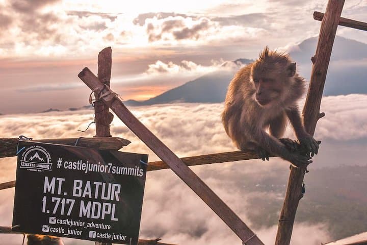 Mount Batur Sunrise Hike & Ubud Bali Swing: Sunrise Trek, Breakfast, and Photo Stops photo 1