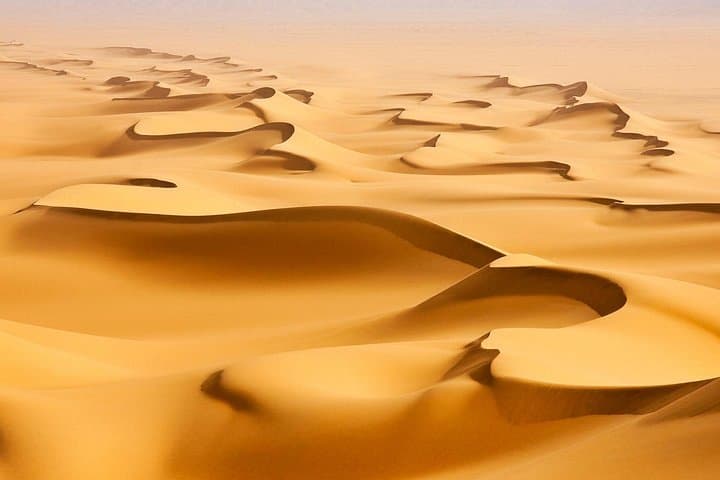 Morning Desert Safari Dubai: Camel Ride, Dune Bashing & Sandboarding in the Red Sands photo 2