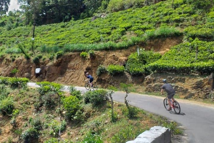 Cycle Adam's Peak to Kithulgala: 45km Downhill Ride and Kelani River Whitewater photo 5