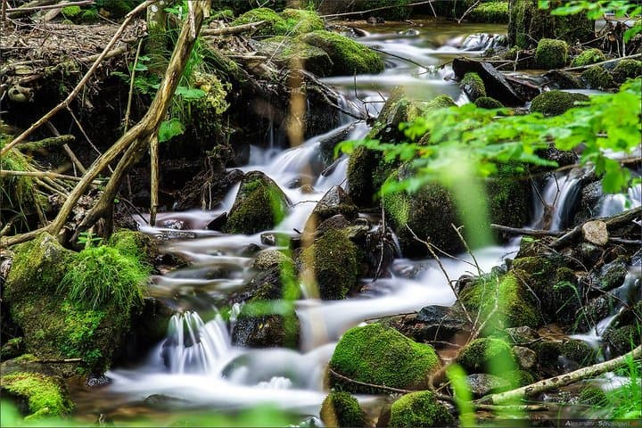 Black Forest Day Tour: Baden-Baden to Strasbourg via Mummelsee & the High Road photo 2