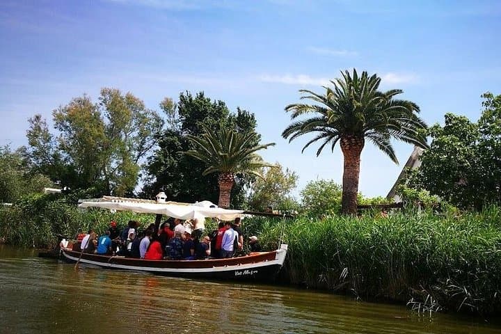 Explore Albufera Natural Park: Private Boat Tour & Rice-Field Culture from Valencia photo 4