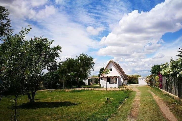 Explore Albufera Natural Park: Private Boat Tour & Rice-Field Culture from Valencia photo 3