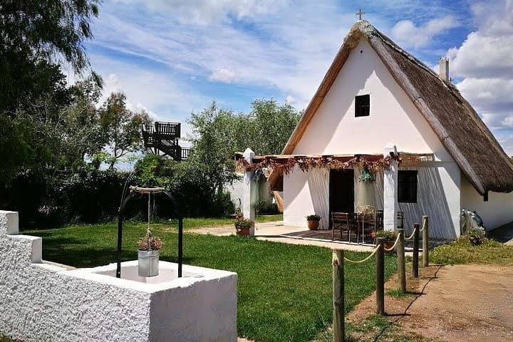 Explore Albufera Natural Park: Private Boat Tour & Rice-Field Culture from Valencia photo 2
