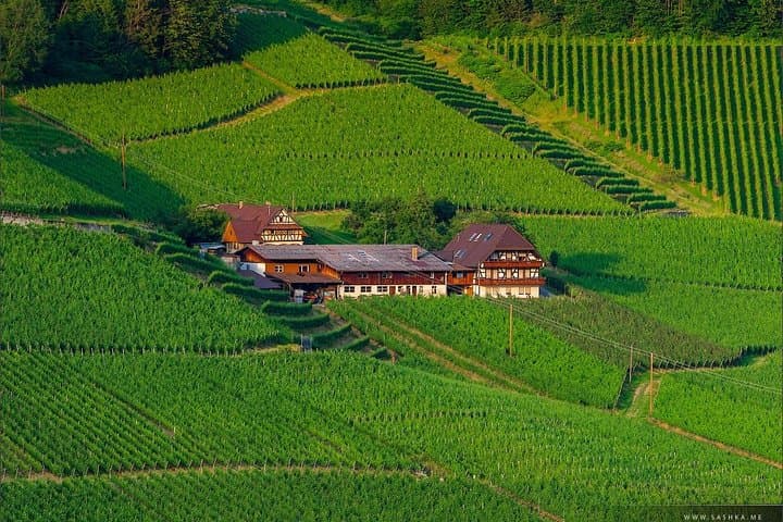 Black Forest Day Tour: Baden-Baden to Strasbourg via Mummelsee & the High Road photo 3