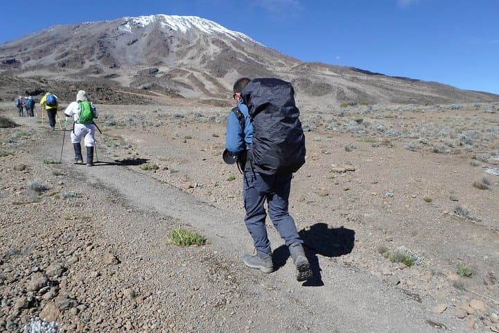 Kilimanjaro Rongai Route: 7-Day Summit Trek via the Quiet Eastern Approach photo 3
