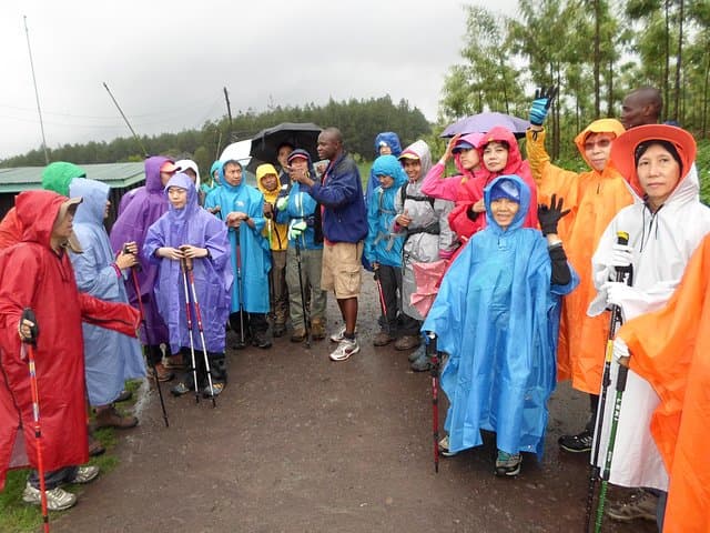 Kilimanjaro Rongai Route: 7-Day Summit Trek via the Quiet Eastern Approach photo 4