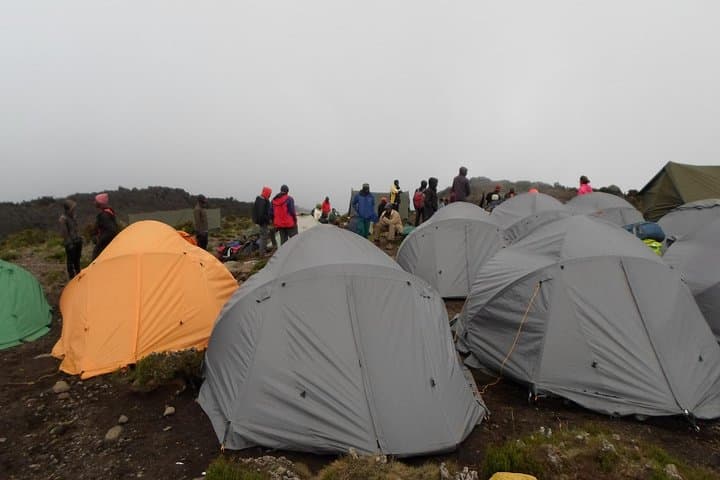 Kilimanjaro Rongai Route: 7-Day Summit Trek via the Quiet Eastern Approach photo 5