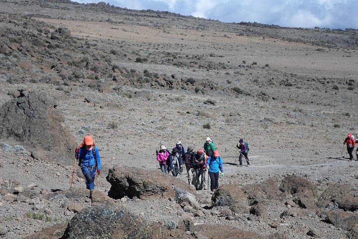 Kilimanjaro Rongai Route: 6-Day Northern Ascent to Uhuru Peak photo 1