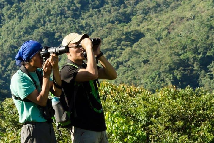 Mindo Wildlife Encounter: Day Trip from Quito to Birding and Butterflies