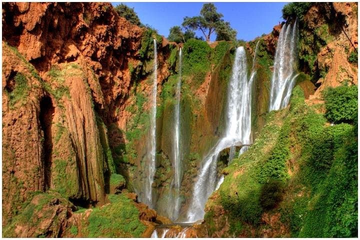 Ouzoud Waterfalls Day Trip from Marrakech: 110m Cascades & Monkey Encounters