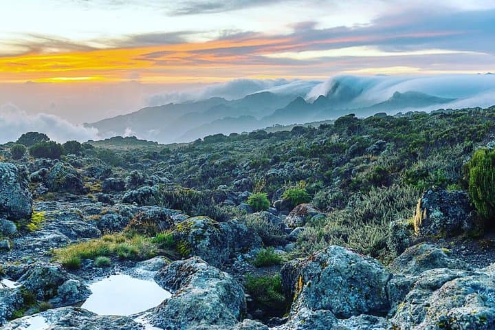 Lemosho Route Kilimanjaro: 7-Day Climb to Uhuru Peak via Shira & Barranco photo 2