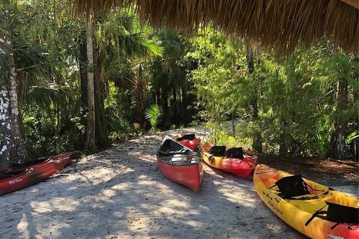 Wild & Scenic Loxahatchee River Guided Kayak Tour from Riverbend Park photo 4