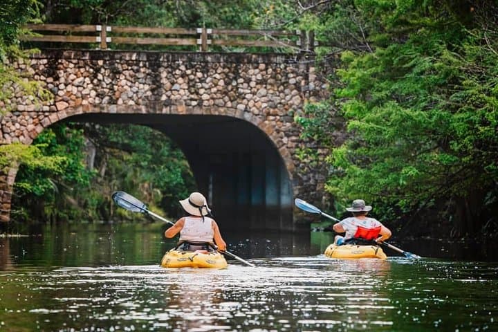Wild & Scenic Loxahatchee River Guided Kayak Tour from Riverbend Park photo 5