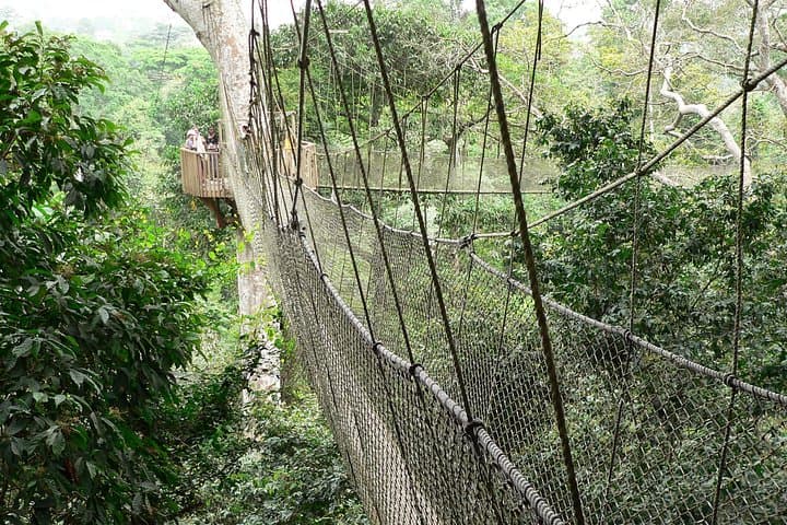 Introducing Ghana: 6-Day Cultural Journey from Accra to Kakum Canopy photo 3