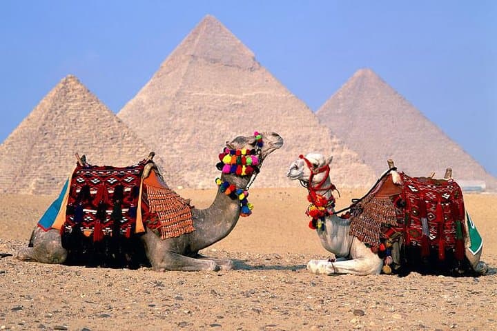 Cairo in a Day: Giza Pyramids, Egyptian Museum & Khan El-Khalili photo 2