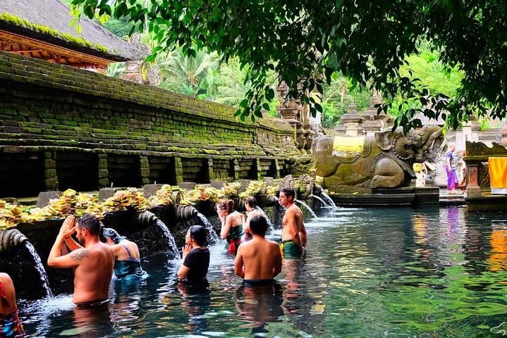 Ubud Jungle Swing & Tegalalang Rice Terrace Full-Day Tour photo 6