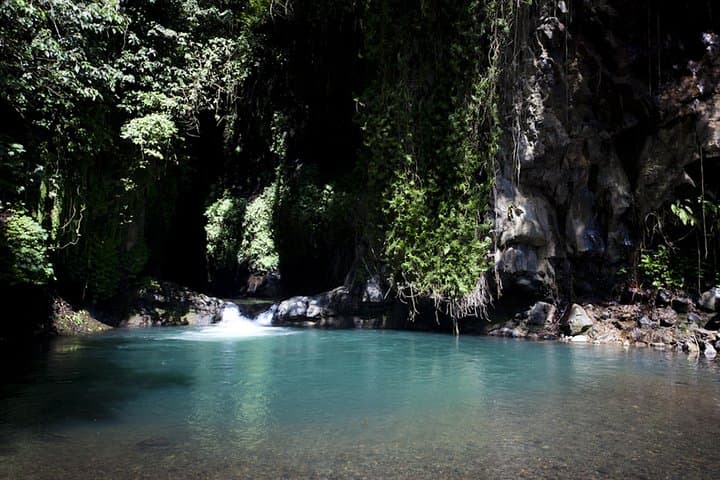 Day in Lovina: Rice-Terrace Trek & Waterfall Jumps near Lovina, Bali photo 3