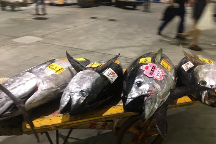 Toyosu Fish Market Insider Tour & Sushi-Making Workshop in Tokyo photo 4