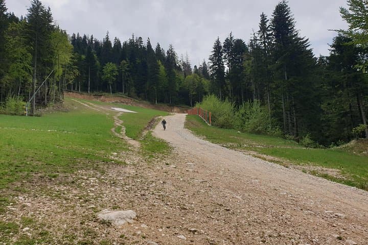 Poiana Brasov & Postavaru Chalet eBike Tour from Brasov — 4-Hour Mountain Ride photo 4