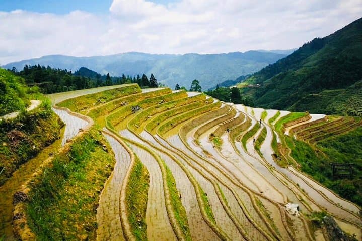 2-Day Private Tour to Dragon's Backbone (Longji) Rice Terraces & Ping'an Village from Guilin