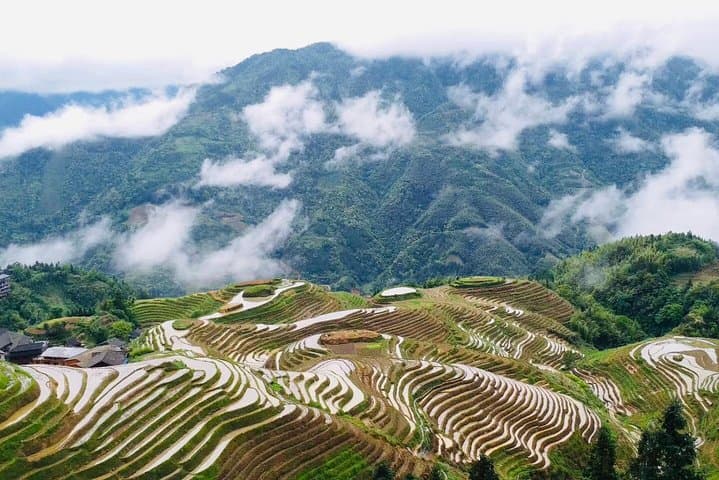 Longji Rice Terraces Private Day Tour from Guilin — Dragon’s Backbone Hike & Ping'an Village