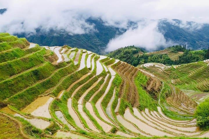Dragon's Backbone Private Day Tour to Longji Rice Terraces from Yangshuo photo 2
